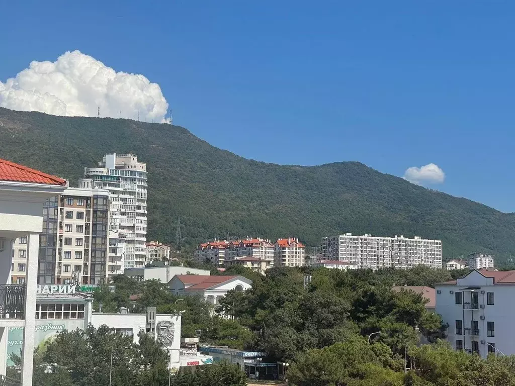 Студия Краснодарский край, Геленджик ул. Мира, 44лит3 (30.0 м) - Фото 0