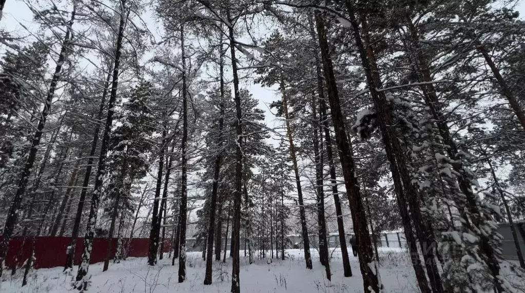 Участок в Саха (Якутия), Якутск ш. Покровское (9.8 сот.) - Фото 1