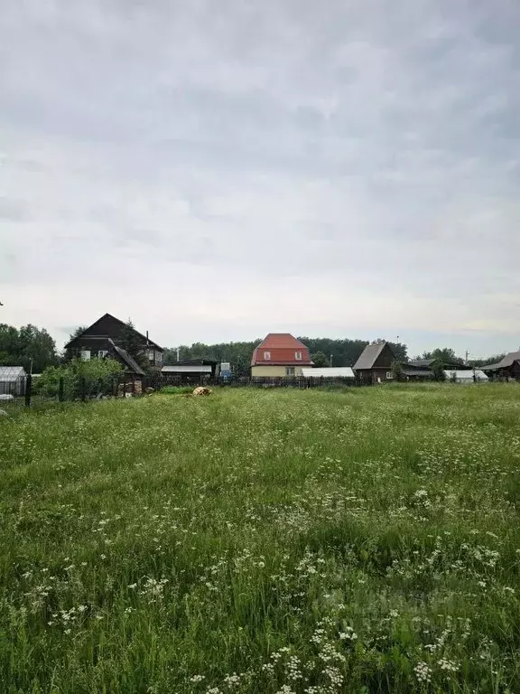 Участок в Московская область, Чехов муниципальный округ, с. Пешково ... - Фото 2