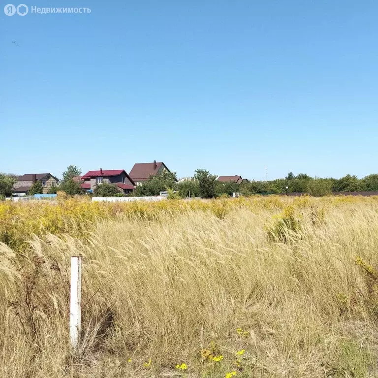 Участок в село Чертовицы, Полевая улица (10 м) - Фото 2