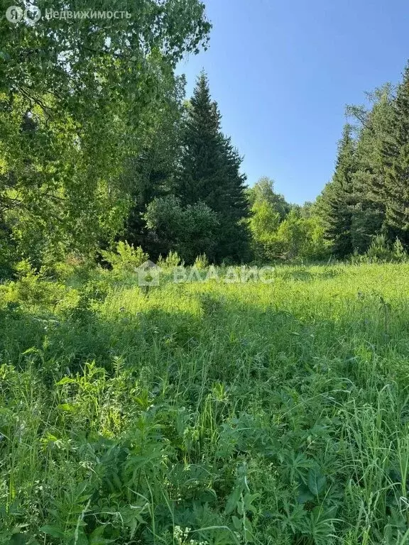 Участок в Нижегородская область, муниципальный округ Семёновский, ... - Фото 2