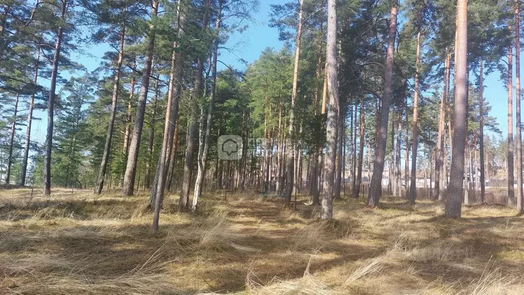 Участок в Ленинградская область, Выборгский район, Полянское с/пос, ... - Фото 2