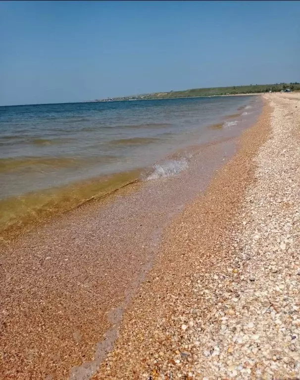 Дом в Крым, Ленинский район, Белинское с/пос, с. Новоотрадное  (100 м) - Фото 1