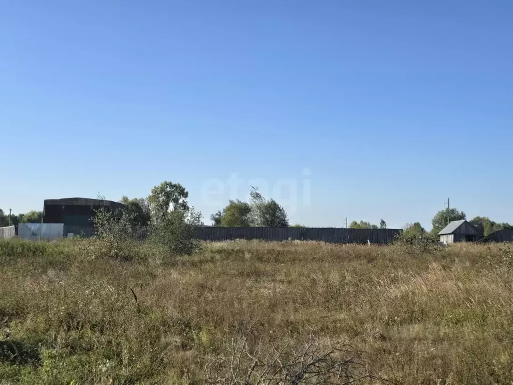 Участок в Брянская область, Карачевское городское поселение, д. Мокрое ... - Фото 1