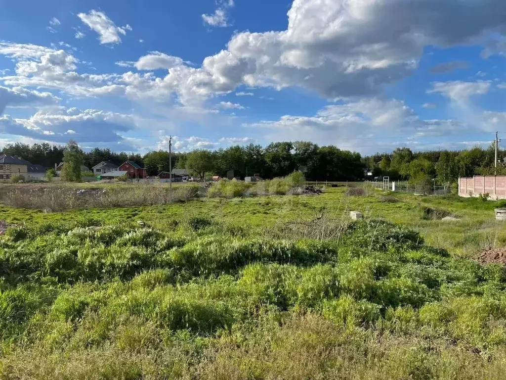 Участок в Воронежская область, Новоусманский район, Усманское 1-е ... - Фото 1
