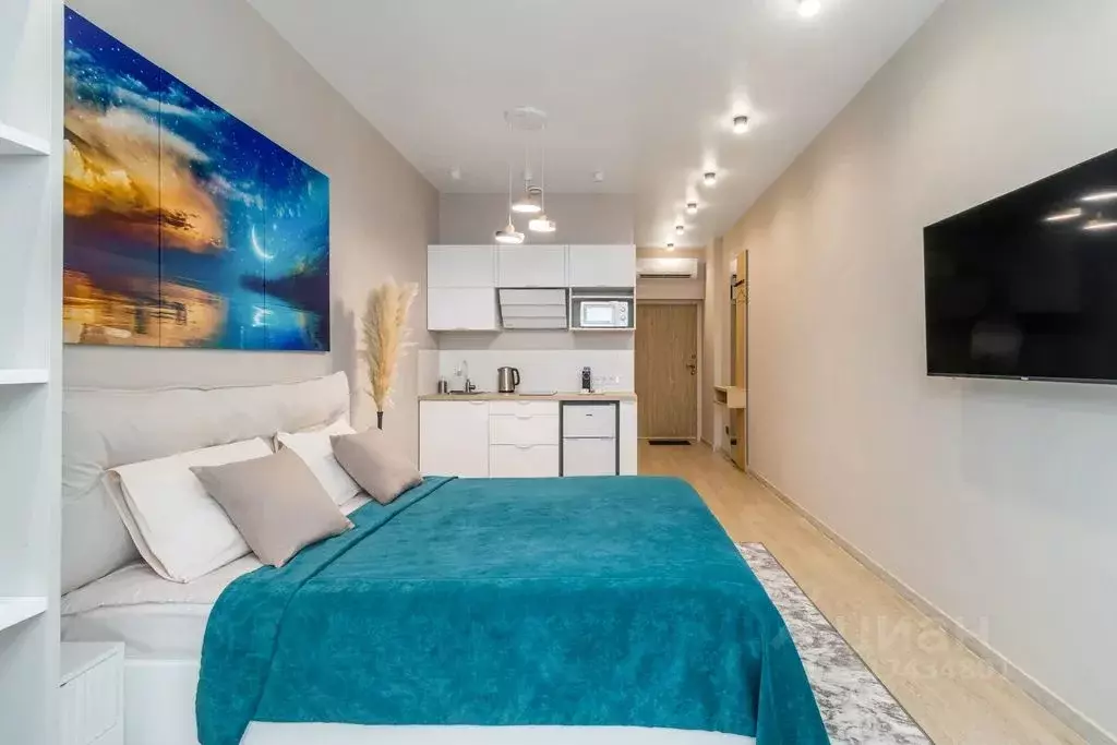 1-к кв. Нижегородская область, Нижний Новгород ул. Максима Горького, ... - Фото 2