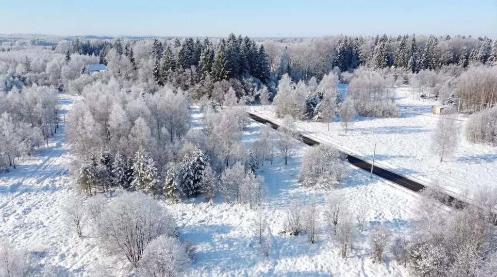 Участок в Московская область, Волоколамский муниципальный округ, д. ... - Фото 2