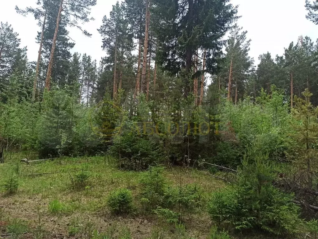 Купить Ижс В Свердловской Области