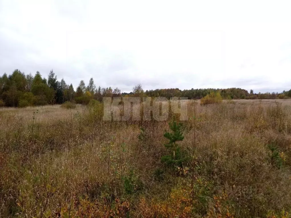 Участок в Вологодская область, Усть-Кубинский муниципальный округ, с. ... - Фото 1