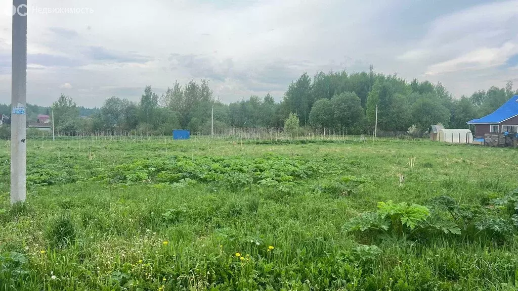 Участок в Московская область, муниципальный округ Истра, село ... - Фото 1