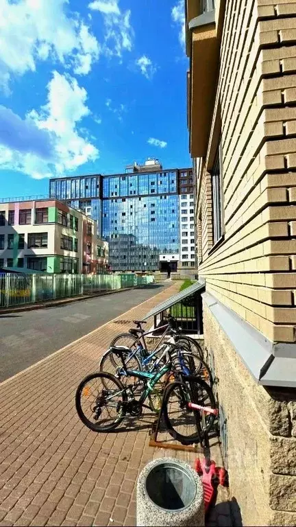 3-к кв. Санкт-Петербург Большой Сампсониевский просп., 77 (83.4 м) - Фото 2