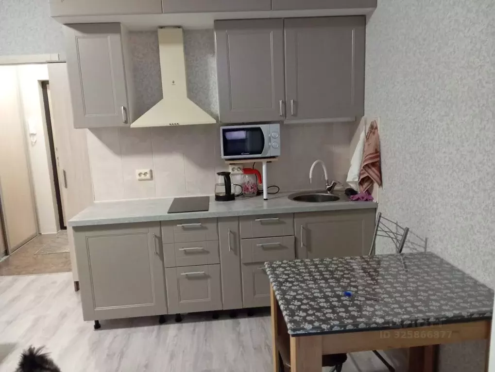 Студия Санкт-Петербург пос. Шушары, Школьная ул., 15 (24.0 м) - Фото 0