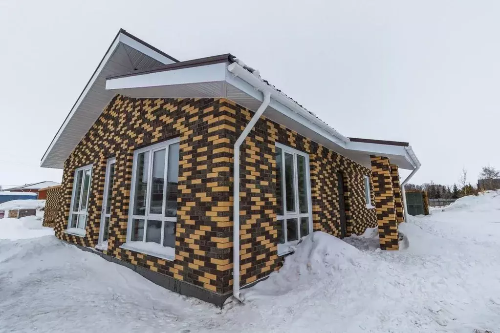 Дом в Омская область, Омский район, Дружинское с/пос, пос. Горячий ... - Фото 1