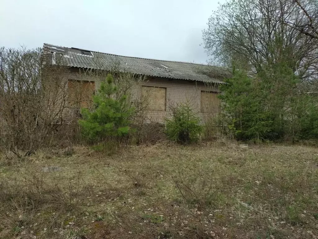 Помещение свободного назначения в Новгородская область, Окуловский ... - Фото 1