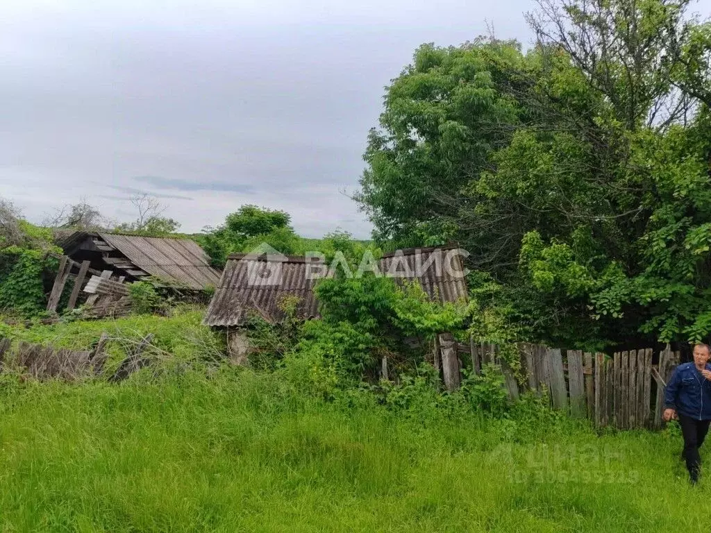 Участок в Приморский край, Михайловский муниципальный округ, с. ... - Фото 0