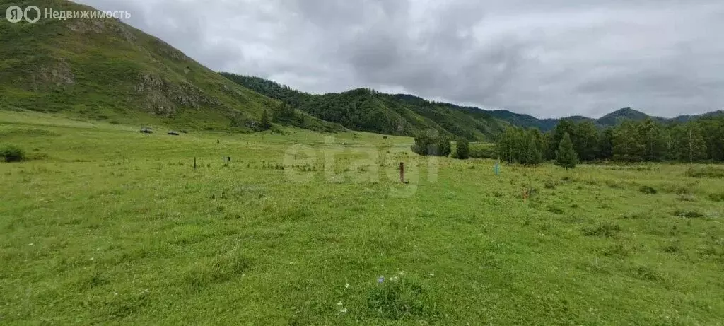 Участок в Шебалинский район, село Мыюта (12 м) - Фото 1