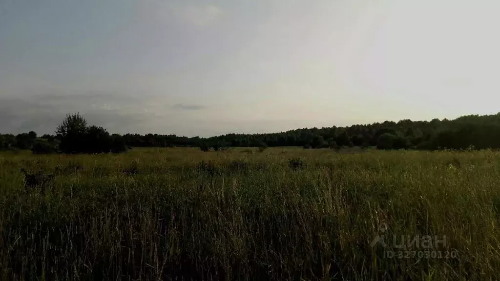 Участок в Вологодская область, д. Грибцово  (25.0 сот.) - Фото 1