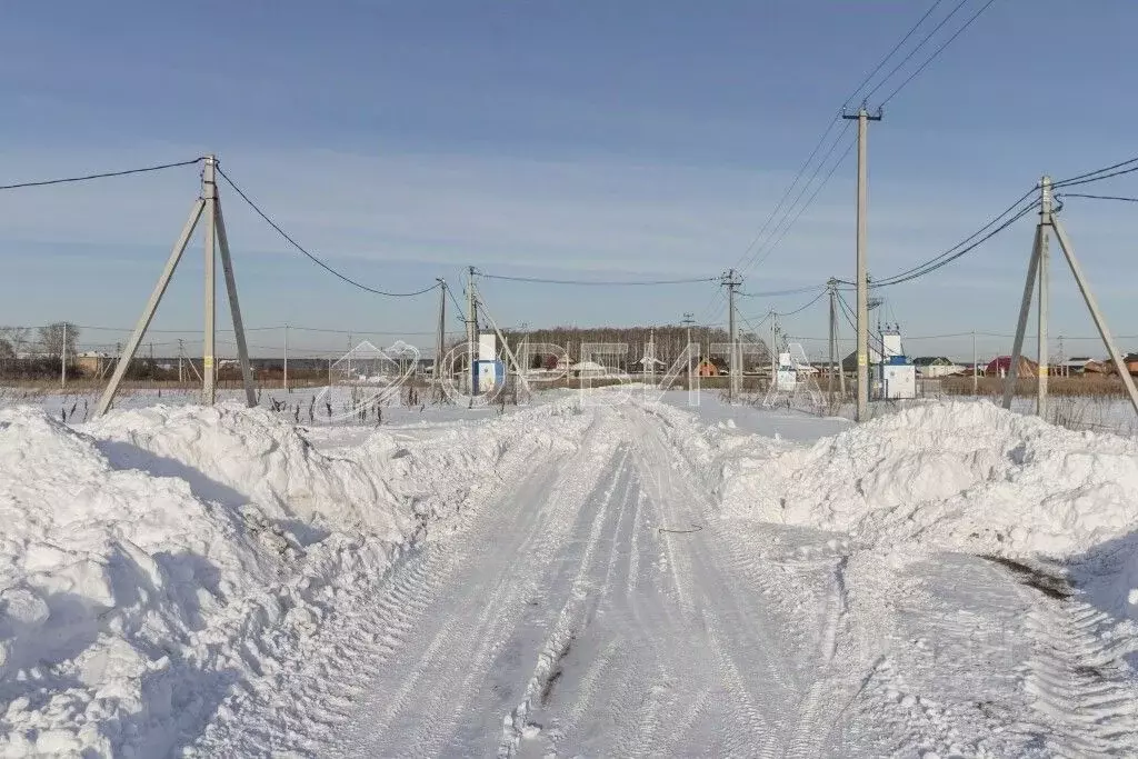 Участок в Тюменская область, Тюменский муниципальный округ, д. Большие ... - Фото 1