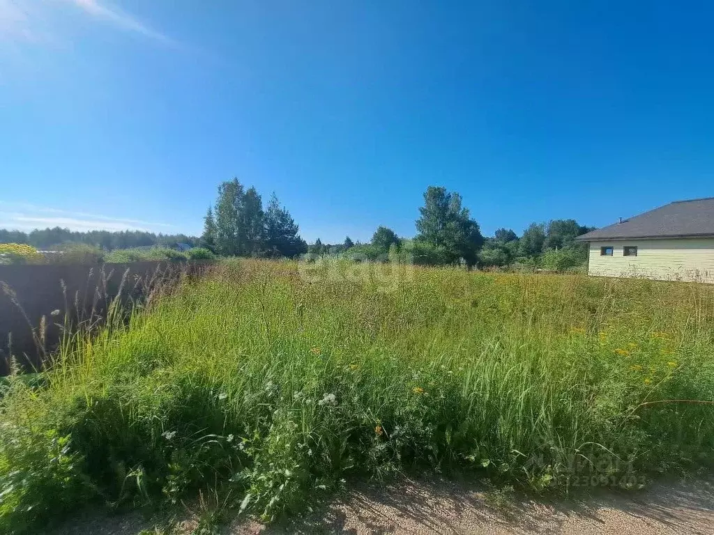 Участок в Вологодская область, Шекснинский муниципальный округ, ... - Фото 1