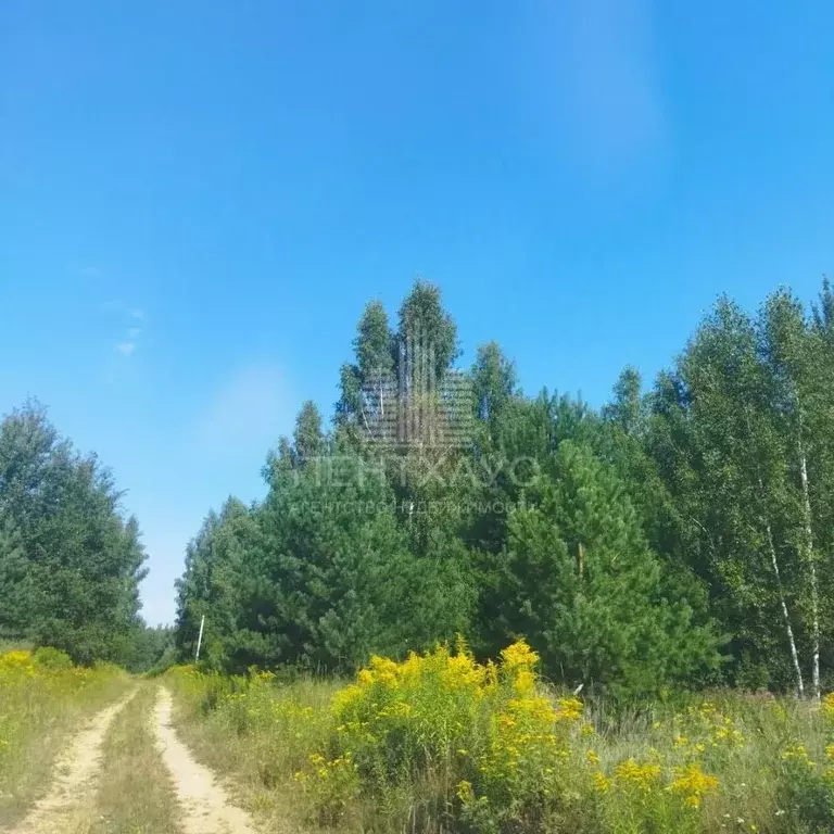 Участок в Владимирская область, Владимир сад Заречье, 83 (10.0 сот.) - Фото 1