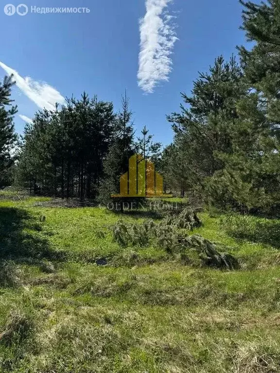 Участок в Выборгский район, Полянское сельское поселение, КП Уют у ... - Фото 2