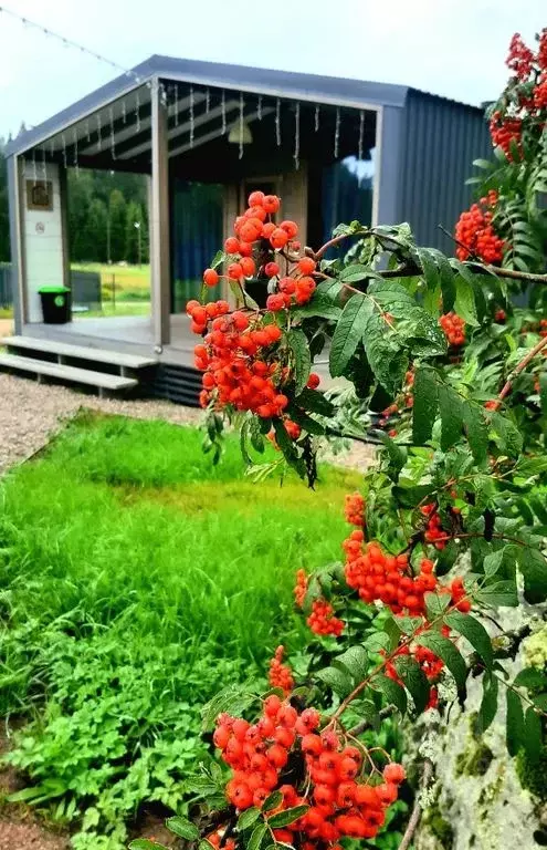 Дом в Ленинградская область, Выборг Хутор Придорожное кп, проезд ... - Фото 0