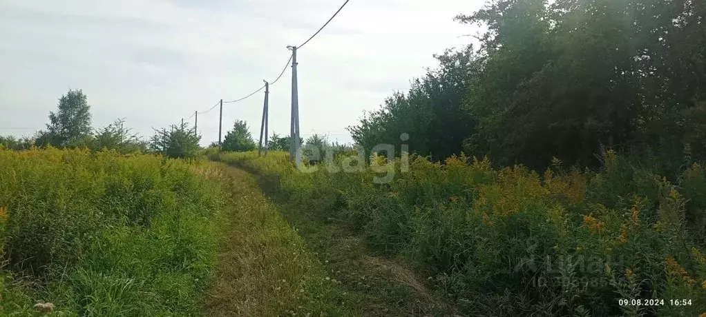 участок в калининградская область, зеленоградский муниципальный округ, . - Фото 0