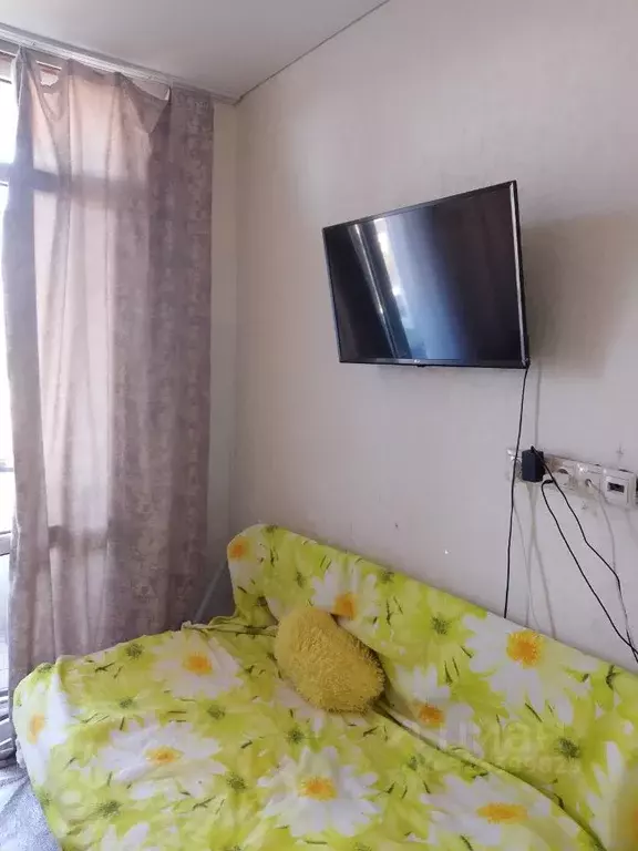 Студия Краснодарский край, Сочи Лесной ЖСК, 56 (20.0 м) - Фото 1