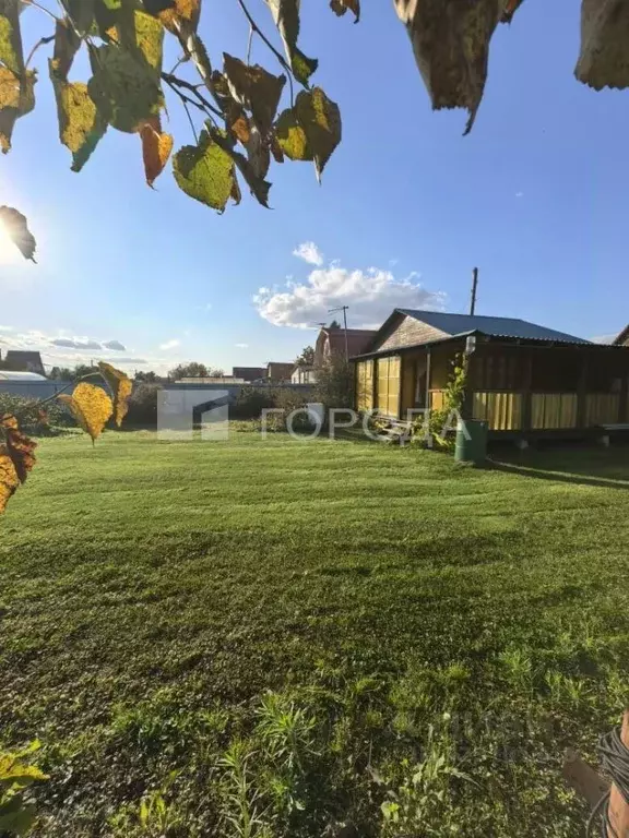 Участок в Новосибирская область, Колыванский район, Импульс СНТ ул. ... - Фото 1