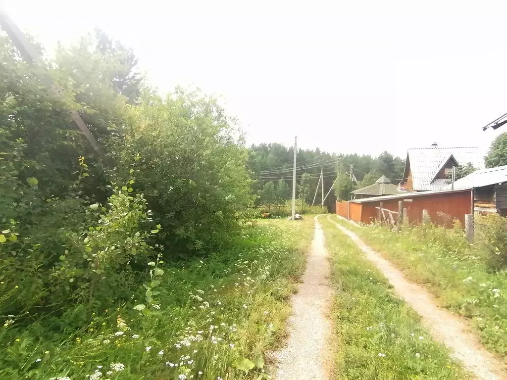 Дом в Свердловская область, Белоярский муниципальный округ, ... - Фото 2