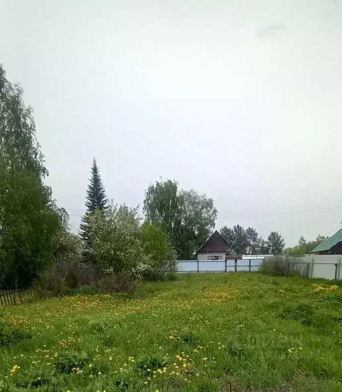 Участок в Новосибирская область, Коченевский район, Недра садовое ... - Фото 0