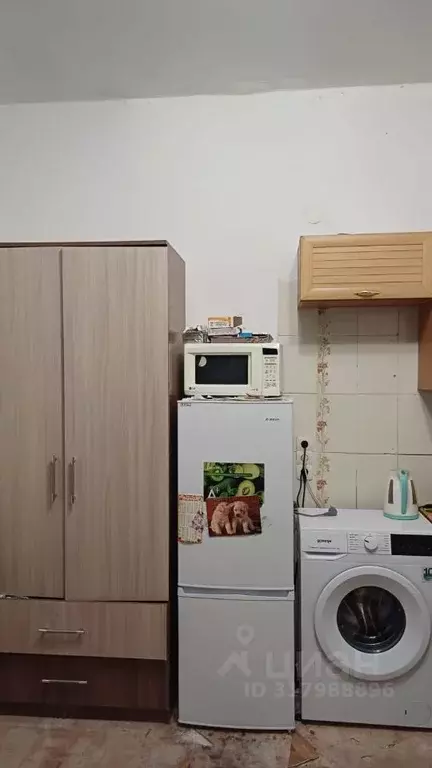 Студия Красноярский край, Красноярск ул. 40 лет Победы, 2 (25.1 м) - Фото 1