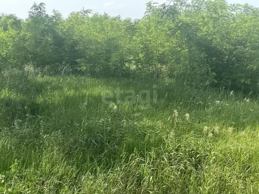 Участок в Белгородская область, Белгород ул. Беловская, 8 (15.5 сот.) - Фото 0