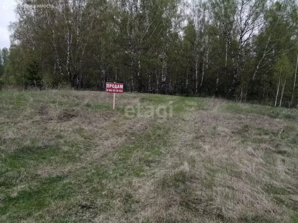 Участок в Зареченское сельское поселение, село Реутинское, Новая улица ... - Фото 1