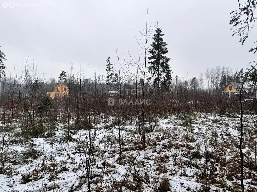 Участок в Московская область, городской округ Пушкинский, деревня ... - Фото 2