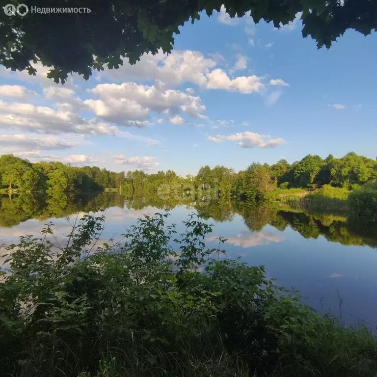 Дом в Брасовский район, Сныткинское сельское поселение, посёлок ... - Фото 1