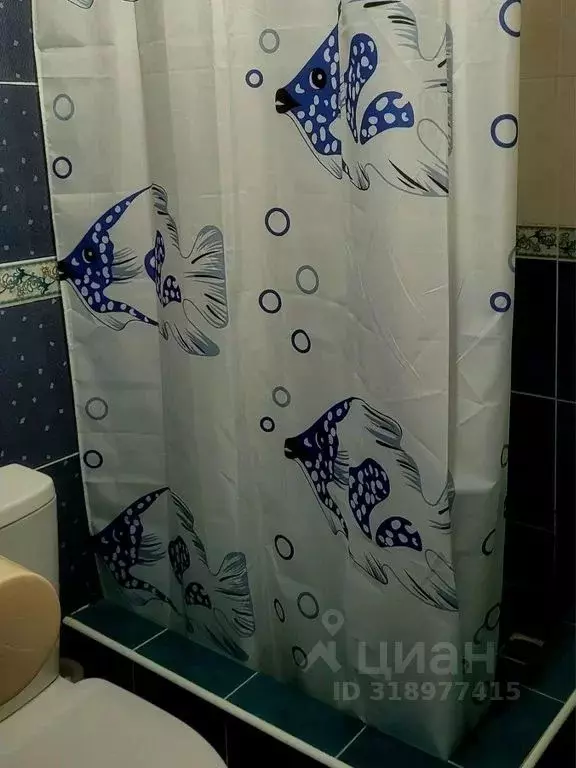 Комната Краснодарский край, Туапсинский муниципальный округ, Джубга ... - Фото 1