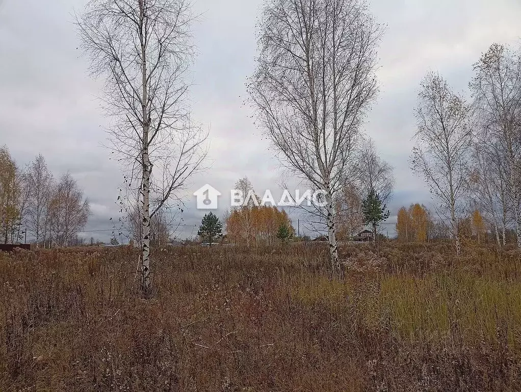 Участок в Нижегородская область, Дальнеконстантиновский муниципальный ... - Фото 1