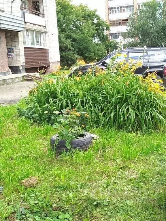 2-к кв. Новосибирская область, Новосибирск ул. Котовского, 10 (53.3 м) - Фото 1