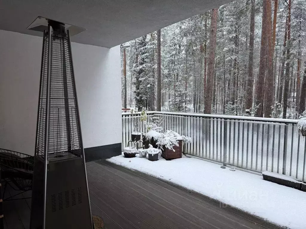 1-к кв. Санкт-Петербург, Санкт-Петербург, Сестрорецк ул. Максима ... - Фото 2