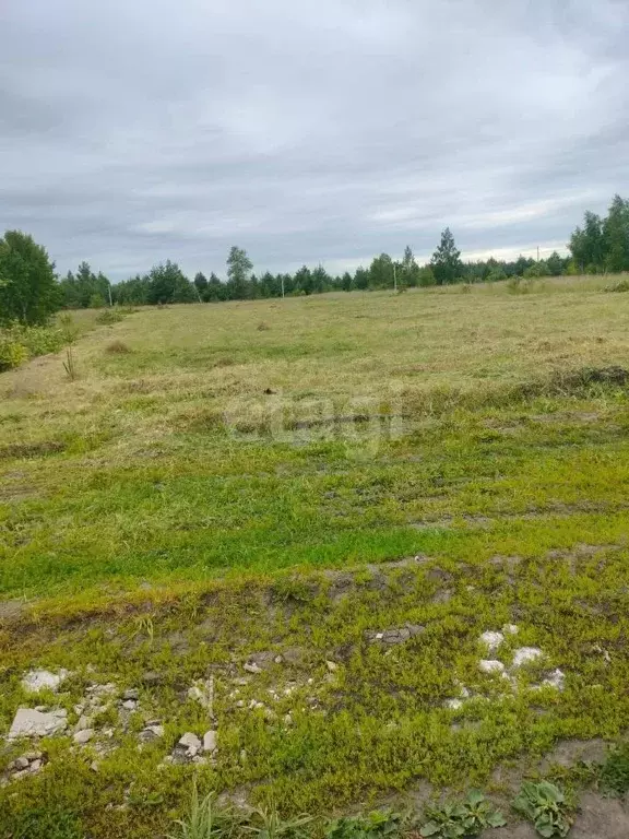 Участок в Липецкая область, Грязинский муниципальный округ, с. ... - Фото 1