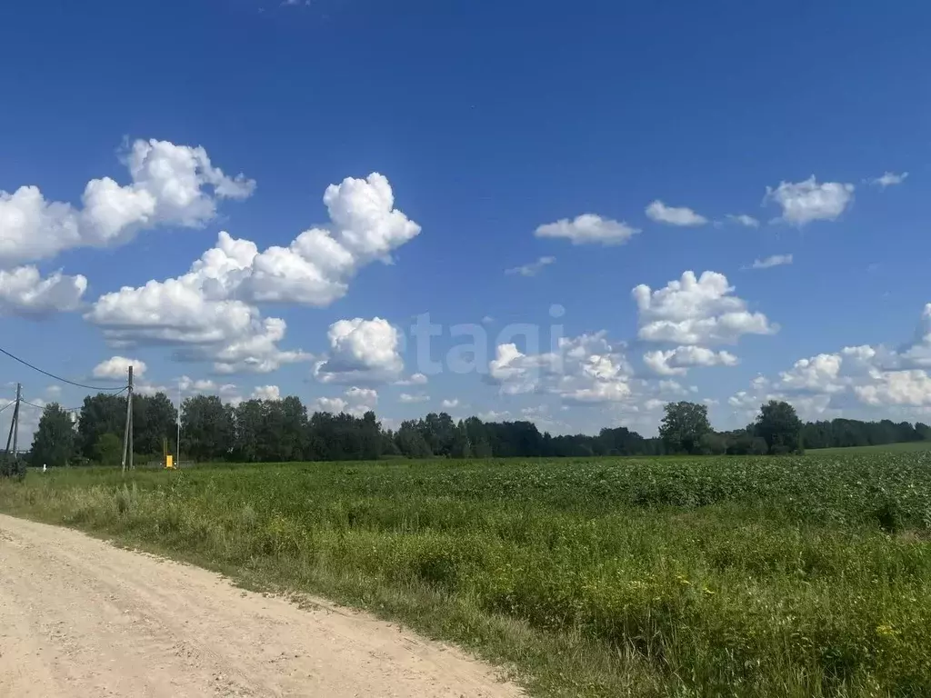 Участок в Костромская область, Костромской район, Середняковское ... - Фото 1