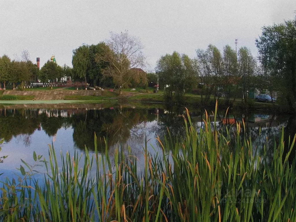 Участок в Московская область, Раменский муниципальный округ, с. ... - Фото 2