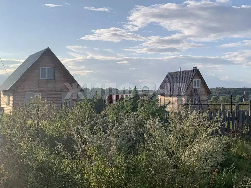 Участок в Новосибирская область, Колыванский район, д. Чаус ул. ... - Фото 1