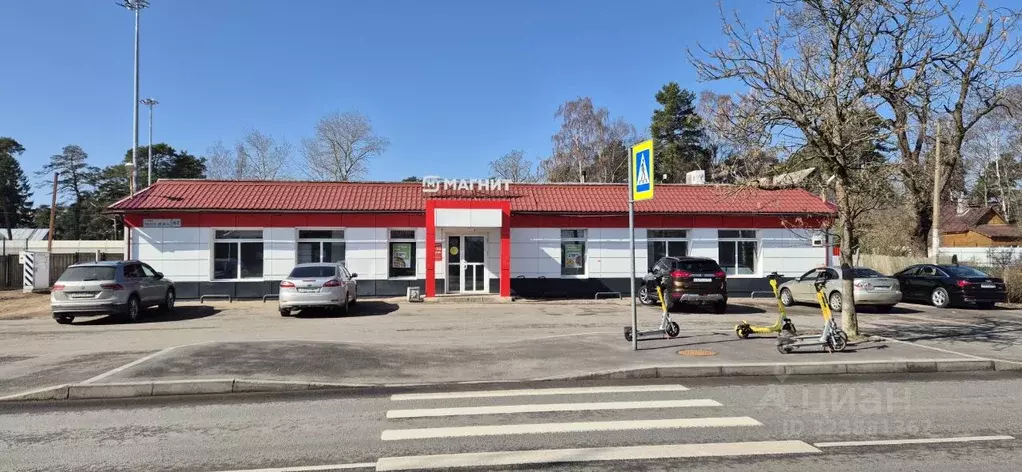 Торговая площадь в Санкт-Петербург, Санкт-Петербург, Сестрорецк ул. ... - Фото 1