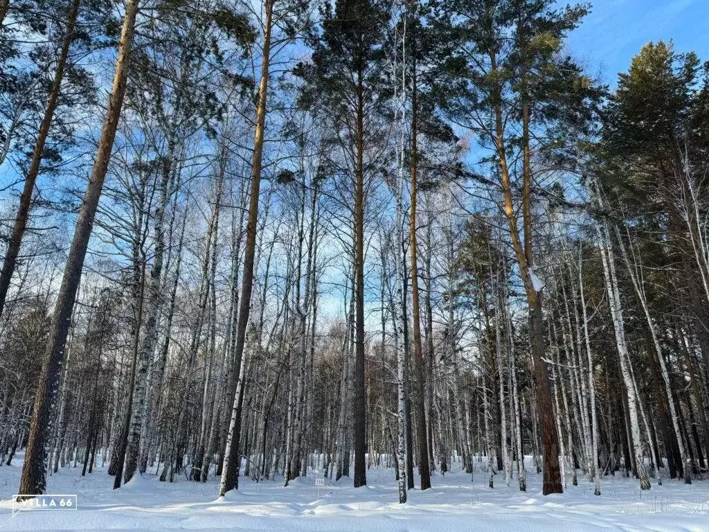 Участок в Свердловская область, Сысертский городской округ, пос. ... - Фото 0