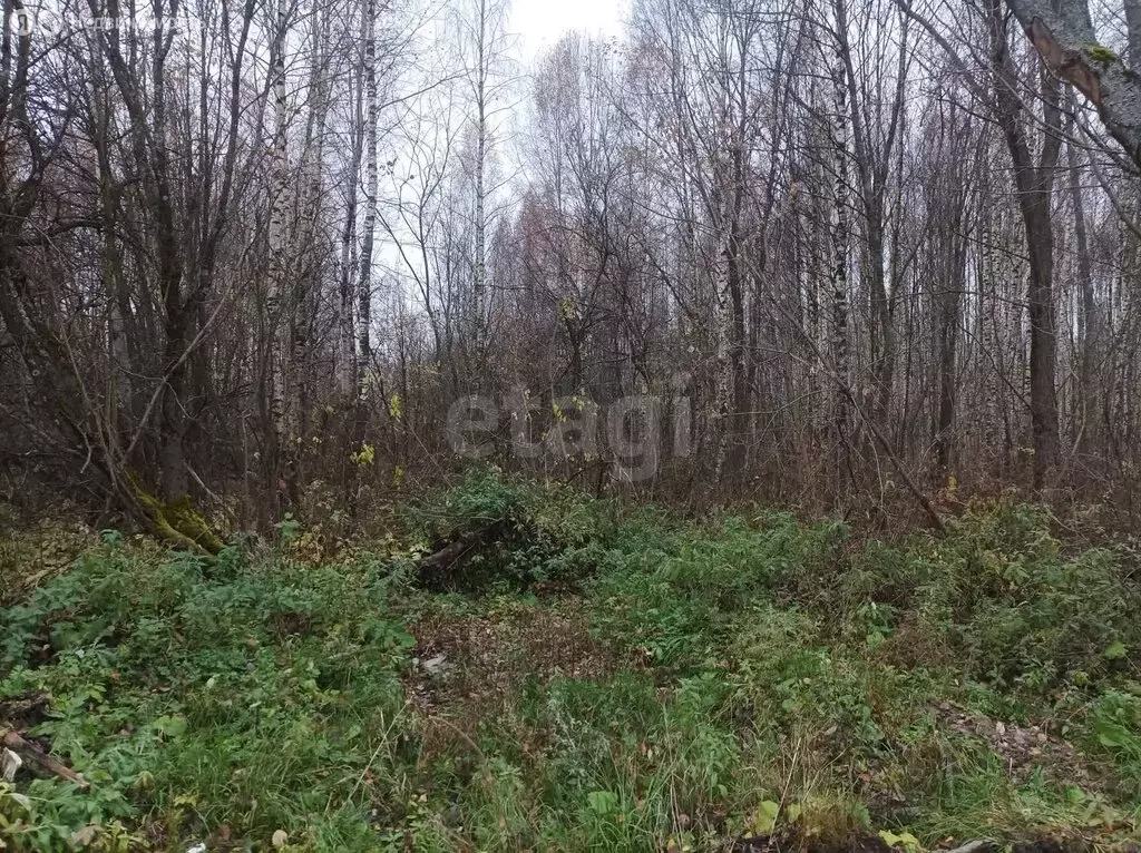 Участок в Ярославль, 1-я Шоссейная улица (6.5 м) - Фото 1