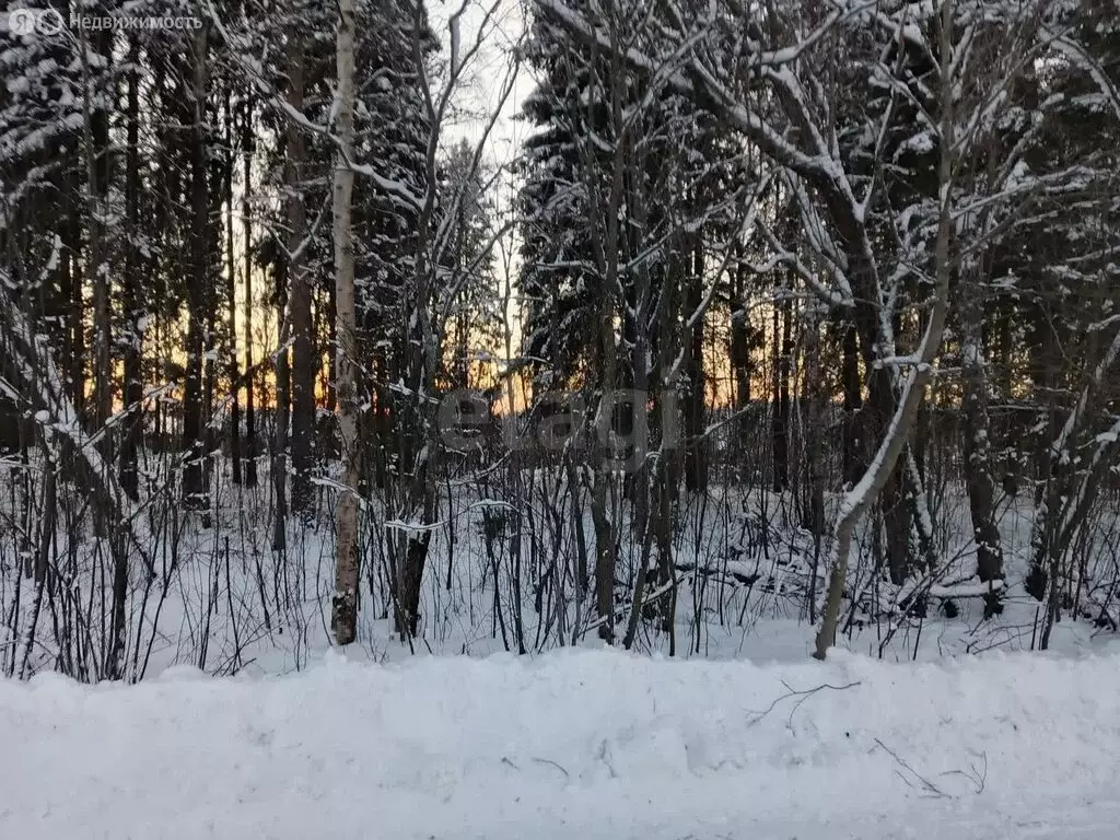 Участок в Архангельская область, Приморский муниципальный округ, ... - Фото 2