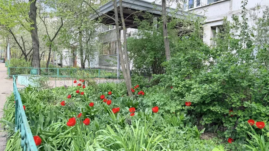 3-к кв. Московская область, Одинцово ул. Чикина, 11 (65.8 м) - Фото 2