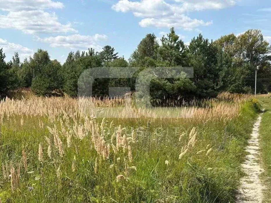 Участок в Брянская область, Брянский район, Новодарковичское с/пос, д. ... - Фото 1